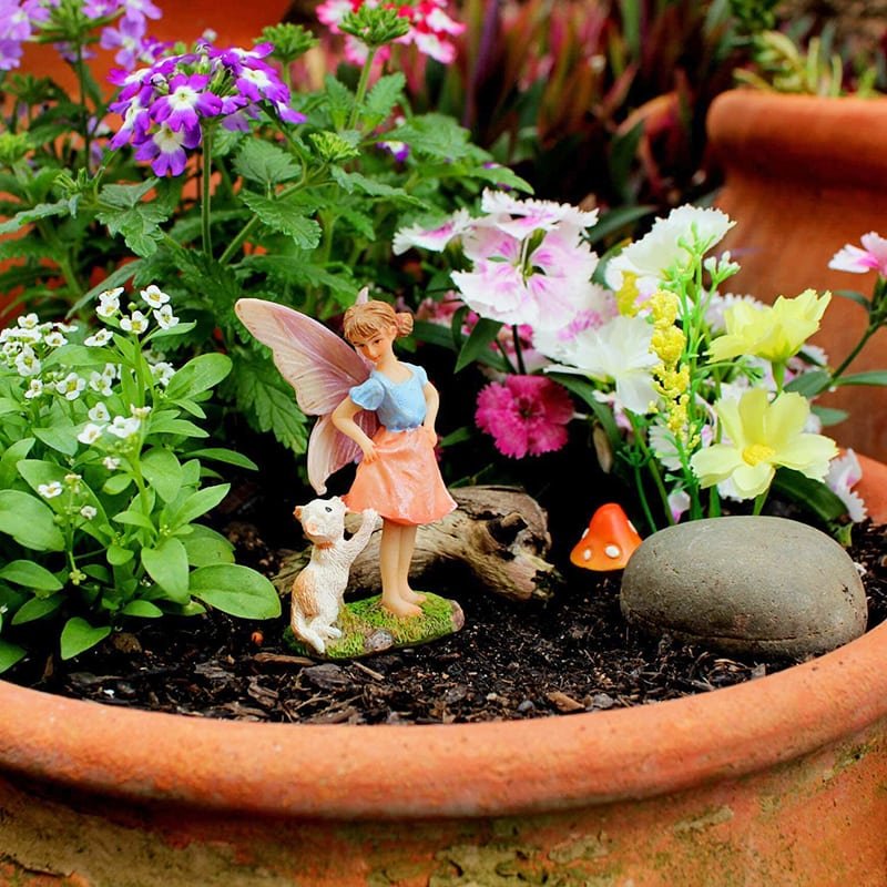 Fairy Ava and Cat Live 2